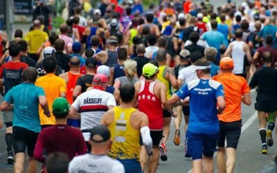 Dam tot Damloop