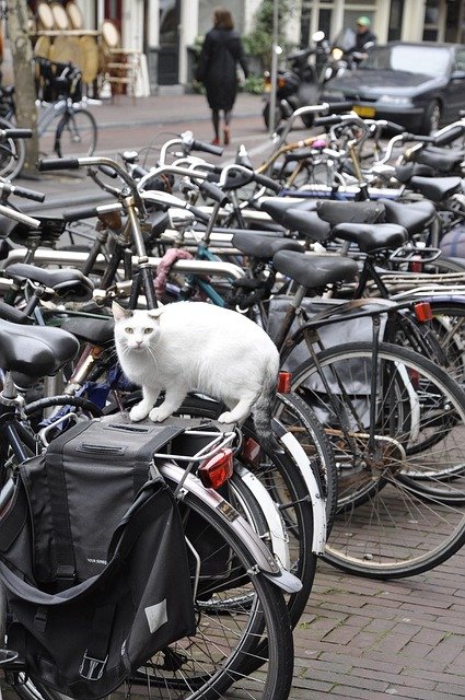 biking 3
