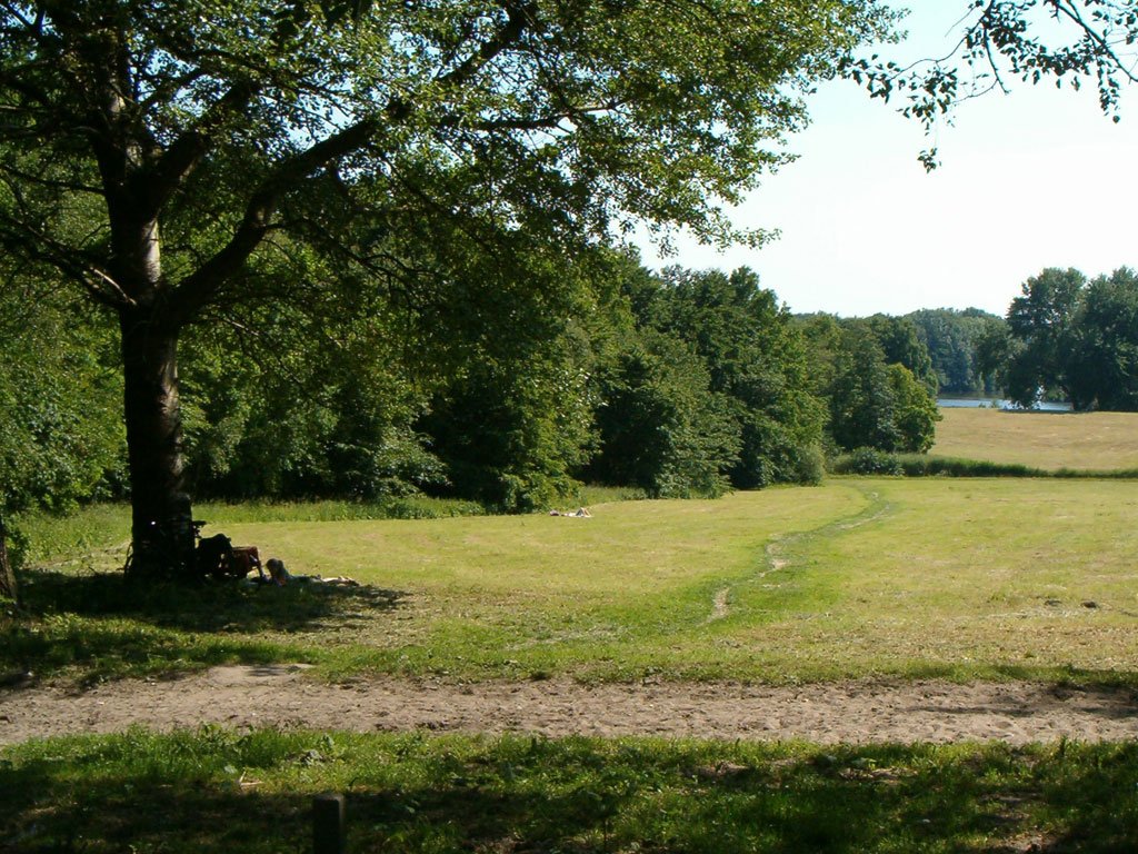 amsterdamsebos1